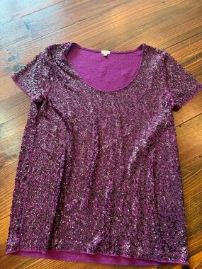 J Crew Women’s Sequined Scoop Neck Tee - Plum